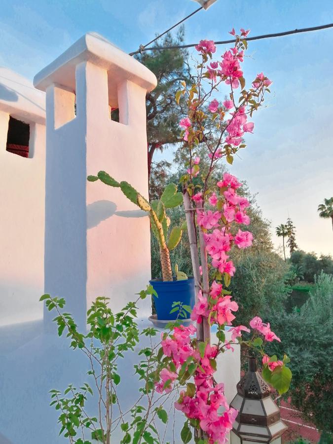 Riad Elli Marrakech マラケシュ エクステリア 写真