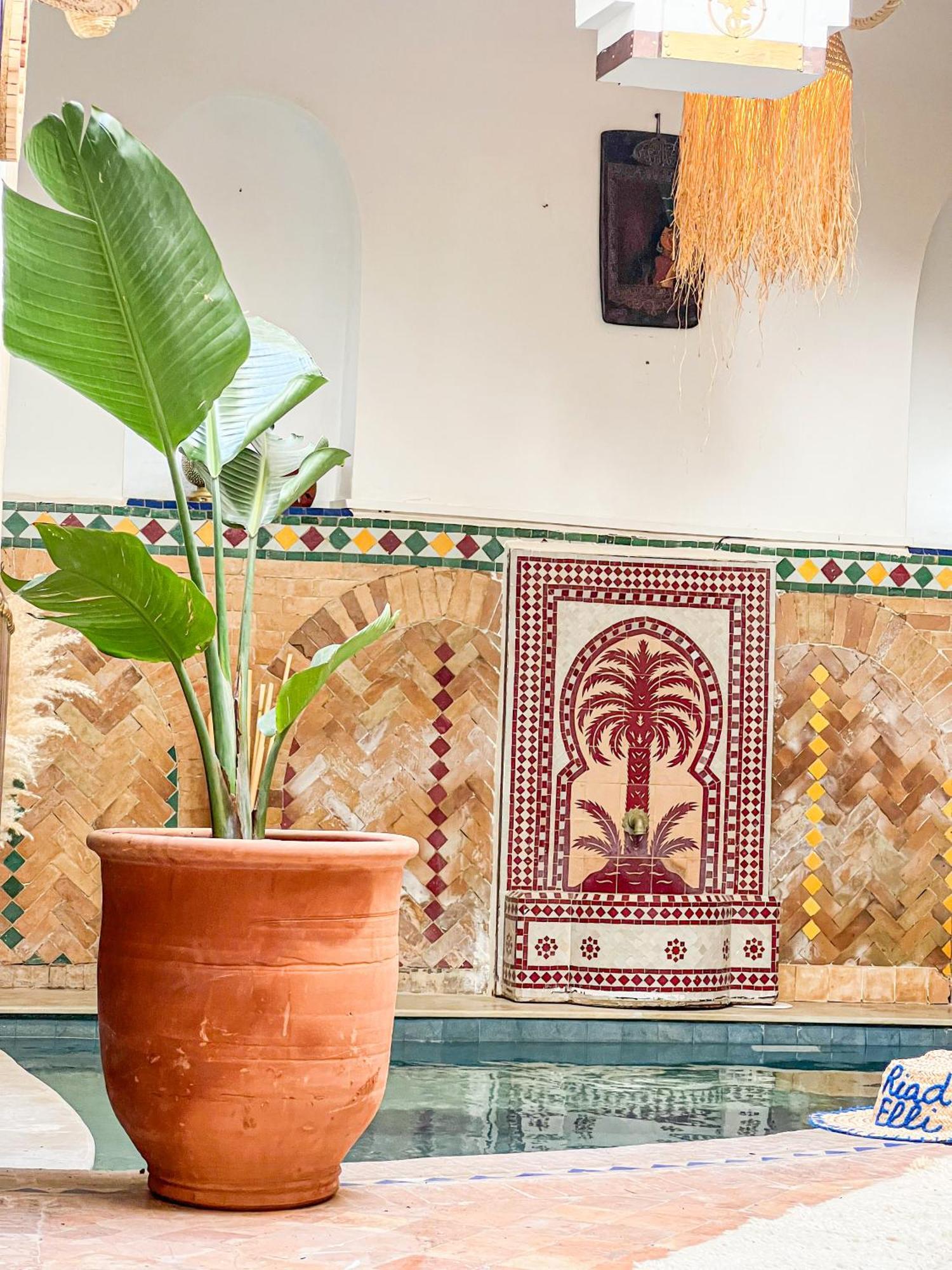 Riad Elli Marrakech マラケシュ エクステリア 写真